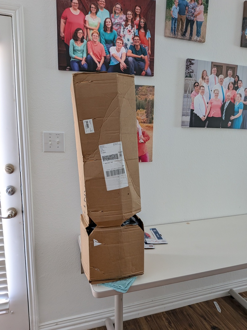 This is how my new blueberry plant looked when it came. I was so excited to see a big box.