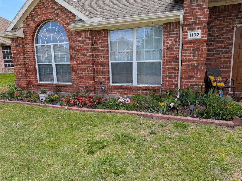 front of house.