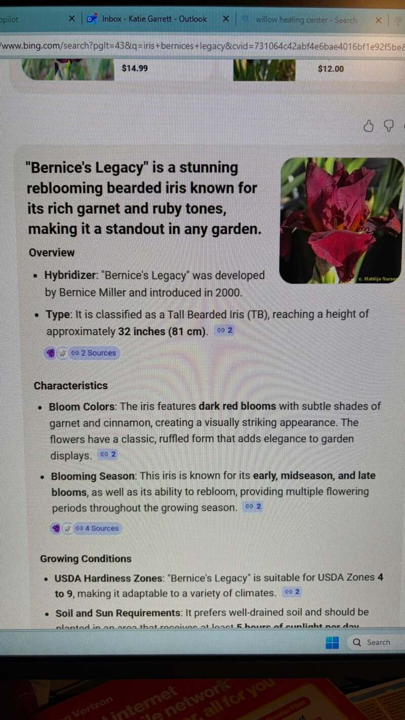 the seller bought the Iris because of the name which was the name of her Grandma.