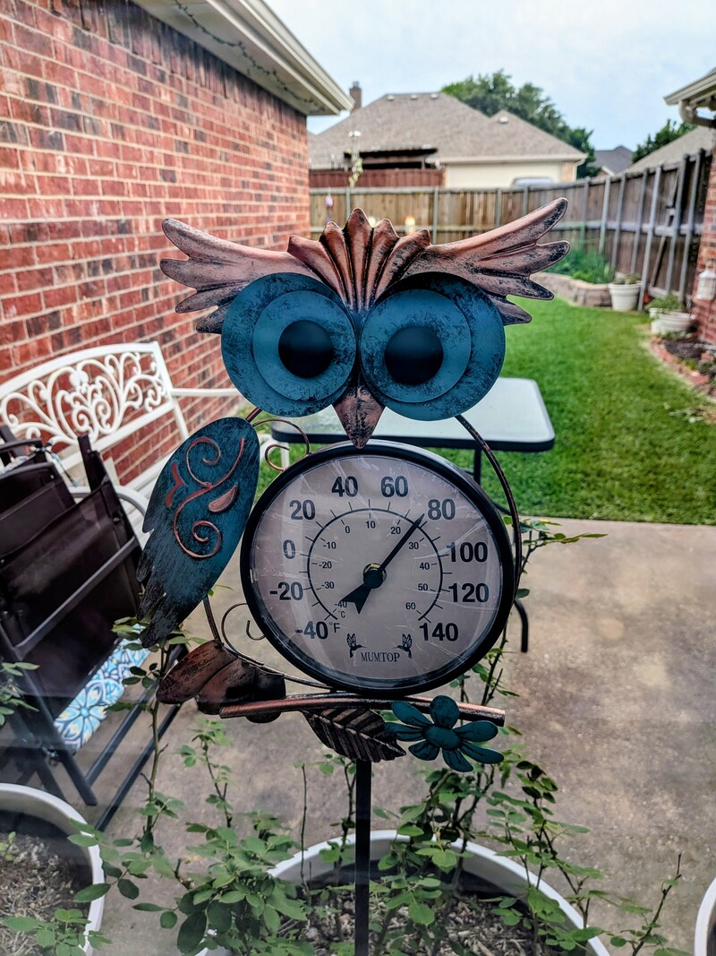 Cute owl.