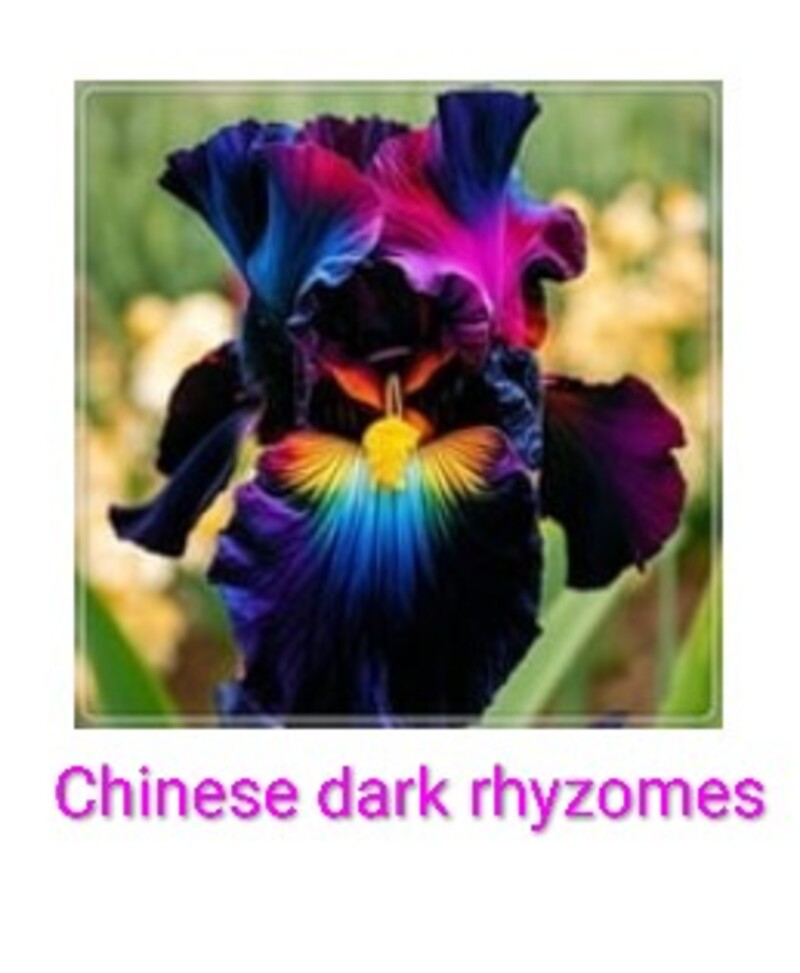 dark I hope they look like this