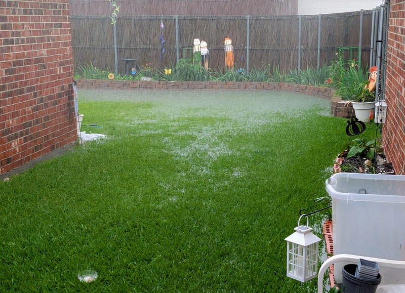 The rain in the backyard. 3.69 inches of rain.