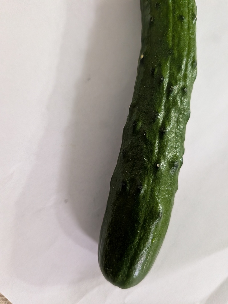 First cucumber. Second and third are down by the zinnias.