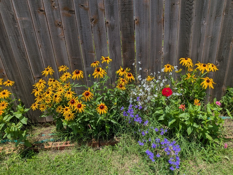 Lois just loves the flowers.