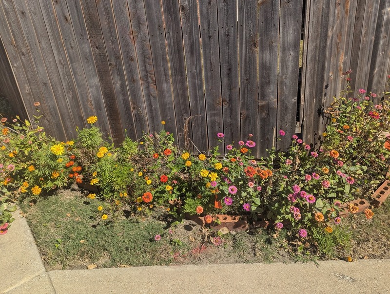 So many flowers and butterflies.