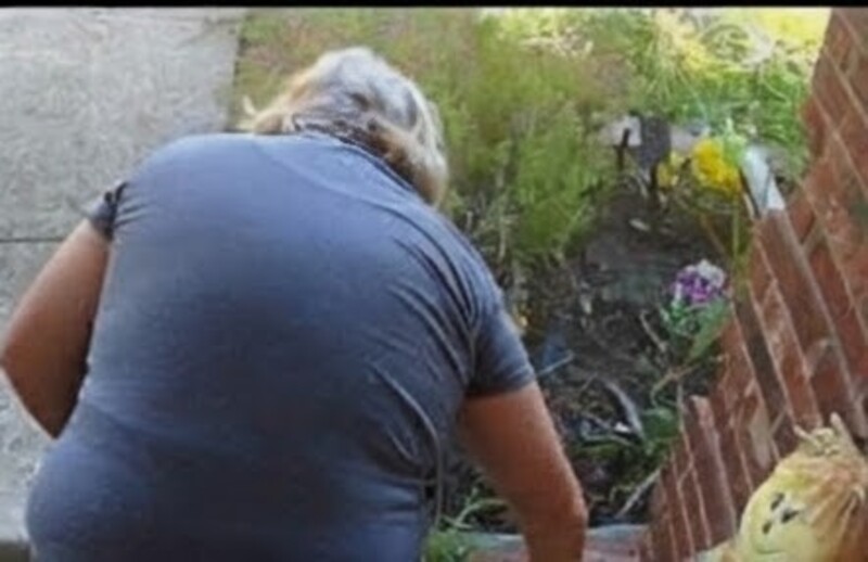 Weeding, weeding, weeding it never ends. Oh, I think I need help. The Whitakers came to help. I offered them money or ice cream. Which do you think they took home?